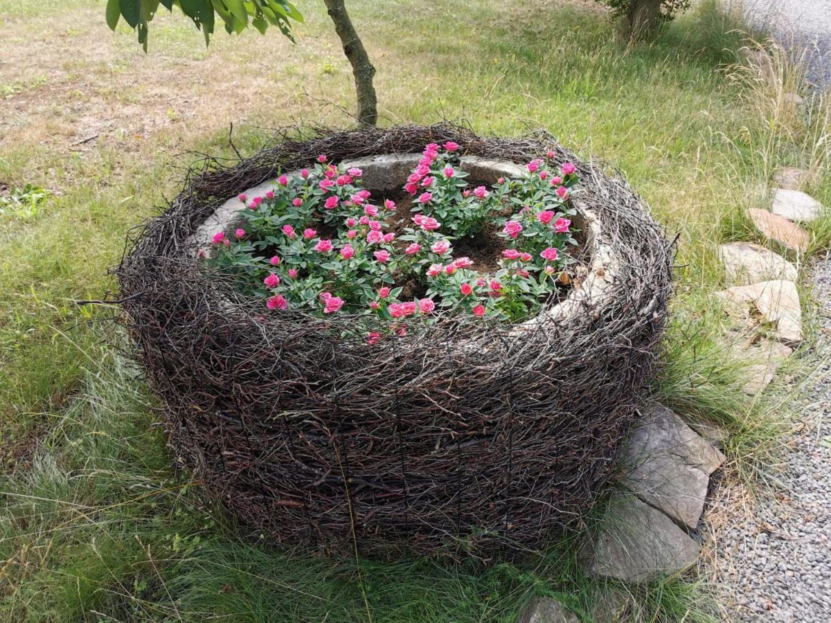 The Fig Studio - "Den Gule Svane" Guest House - Near Ronne & Beach Exteriör bild