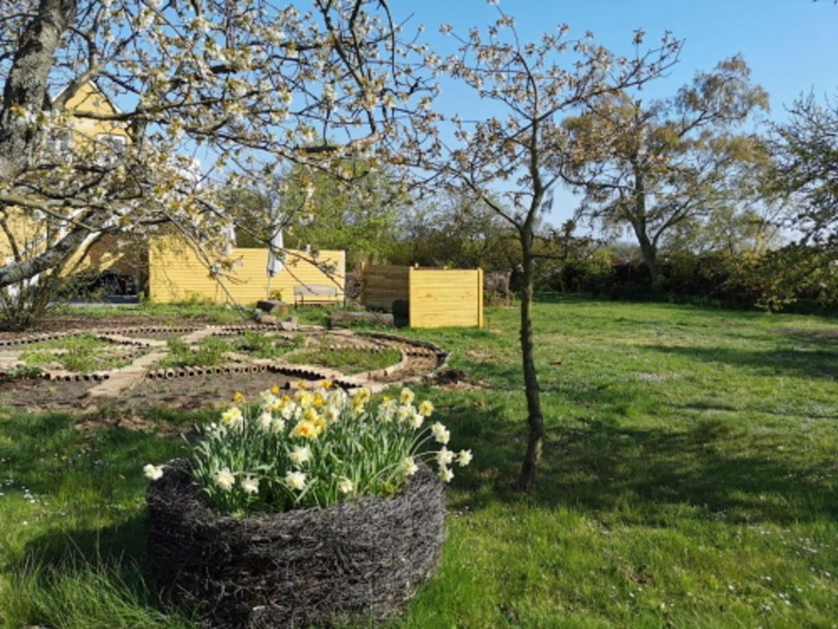 The Fig Studio - "Den Gule Svane" Guest House - Near Ronne & Beach Exteriör bild