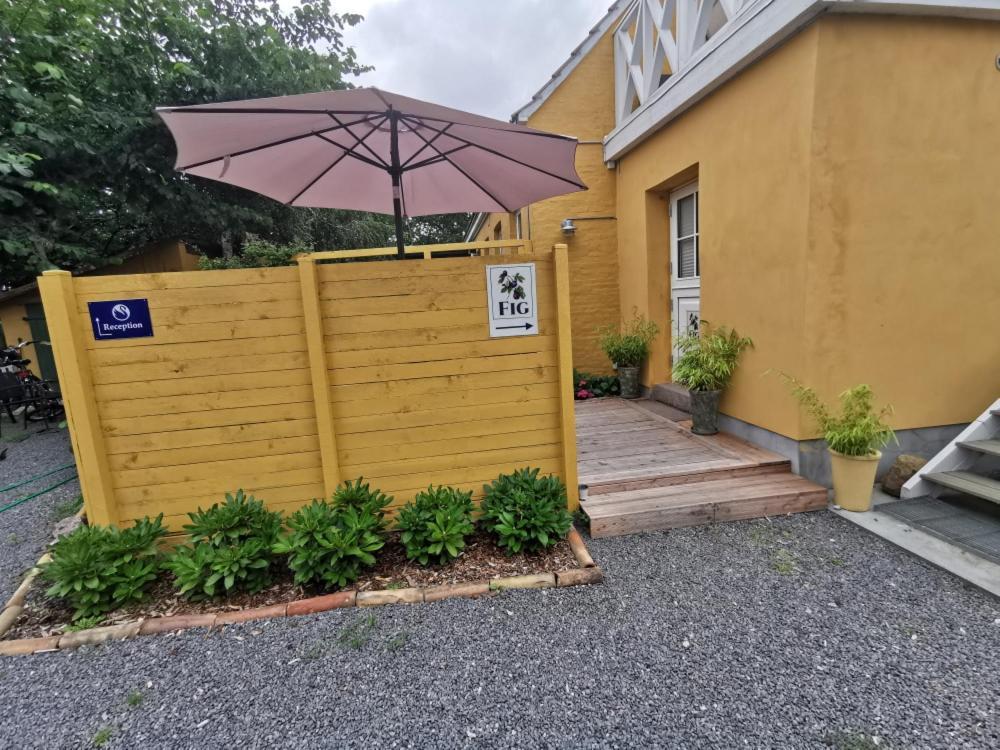 The Fig Studio - "Den Gule Svane" Guest House - Near Ronne & Beach Exteriör bild