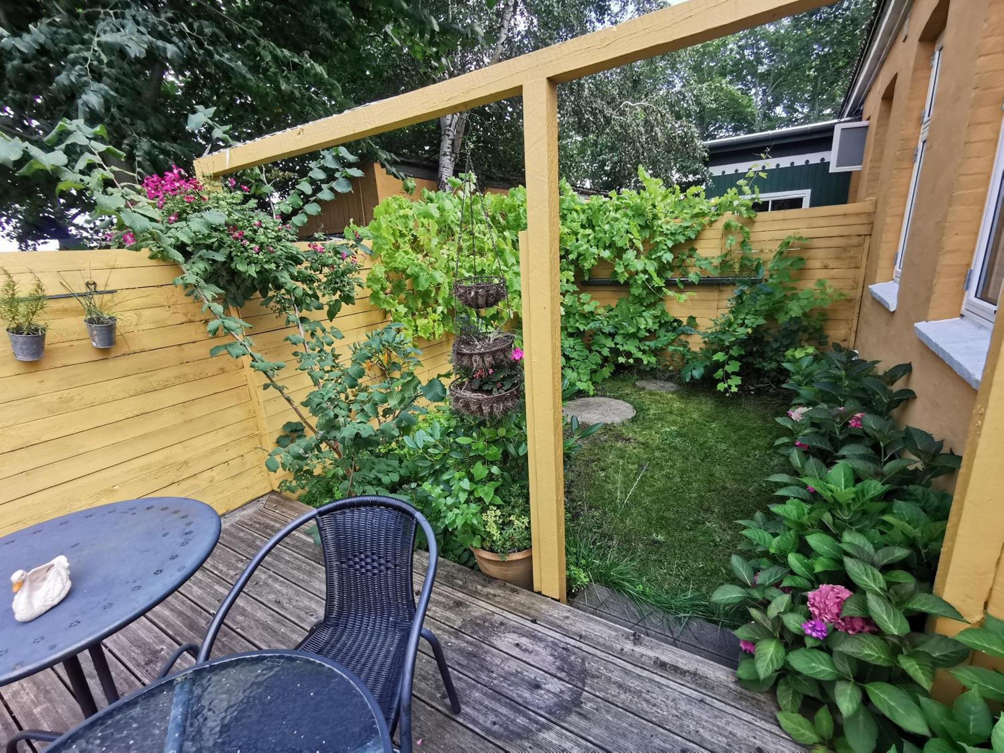 The Fig Studio - "Den Gule Svane" Guest House - Near Ronne & Beach Exteriör bild