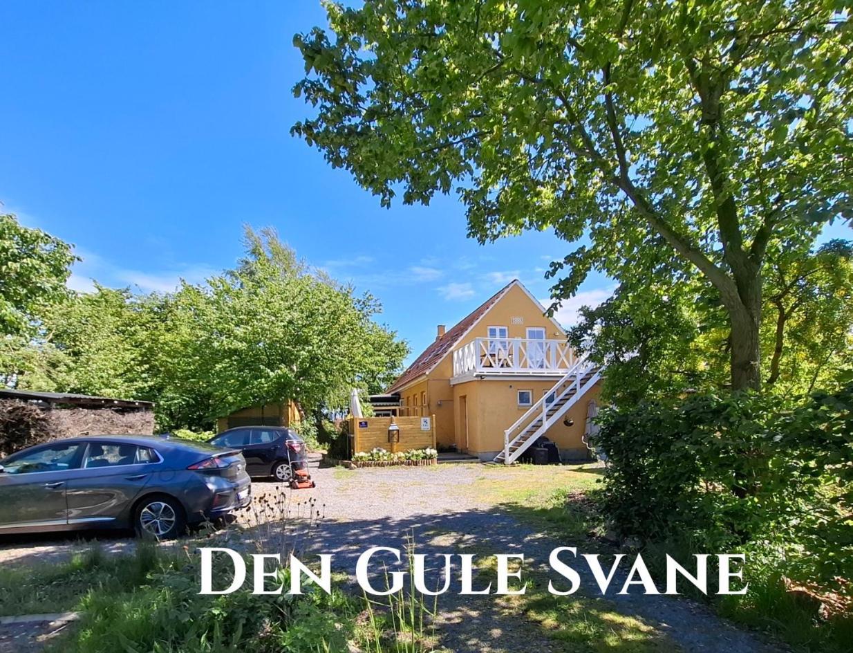 The Fig Studio - "Den Gule Svane" Guest House - Near Ronne & Beach Exteriör bild